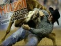 Houston Rodeo 2014 | Get The Tickets Right Here